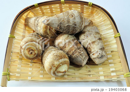 京都産海老芋の写真素材