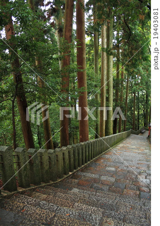 少し紅葉の鞍馬寺にて 19403081