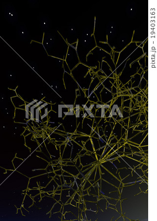 根の部分 19403163