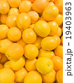Fresh orange in the grocery store 19403963