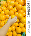 Women hand pick oranges in supermarket 19403964