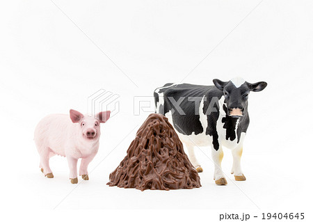 家畜と家畜のフン: Feces of livestock 家畜と家畜のフン: Feces of livestock 19404645