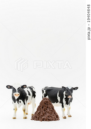 牛と牛のフン山盛り: Cows and their feces 牛と牛のフン山盛り: Cows and their feces 19404648