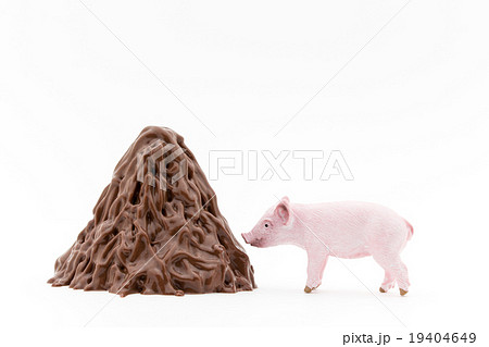 子豚と子豚のフン山盛り: Piglet and its feces 子豚と子豚のフン山盛り: Piglet and its feces 19404649