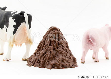 家畜と家畜のフン: Feces of livestock 19404652