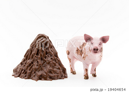 雌豚と雌豚のフン: Pig and its feces 19404654