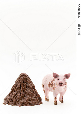 豚と豚のフン: Pig and its feces 19404655