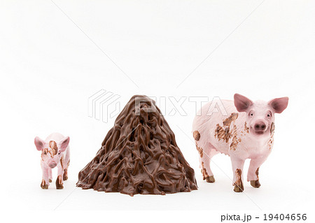 雌豚、子豚、フン山盛り: Pigs and their feces 雌豚、子豚、フン山盛り: Pigs and their feces 19404656