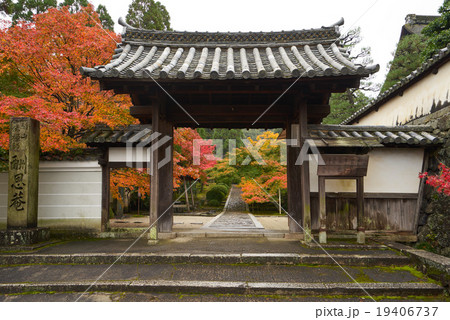 酬恩庵一休寺の総門、正面の眺め、京田辺市、京都府 19406737