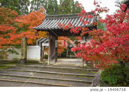 秋の酬恩庵一休寺総門、右前方からの眺め、京田辺市、京都府 19406738