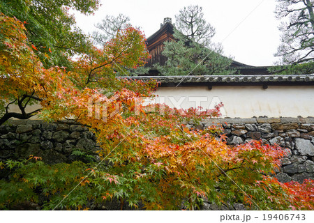 秋の酬恩庵一休寺、参道から方丈方面を望む、京田辺市、京都府 19406743