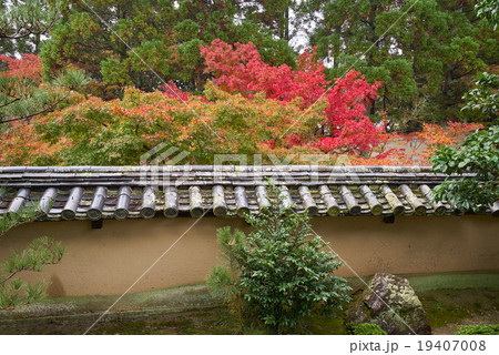 秋の酬恩庵一休寺、東庭の塀越しに眺める紅葉、京田辺市、京都府 19407008
