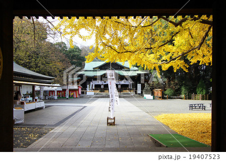 大宮八幡宮の紅葉 19407523