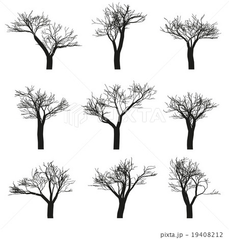 Trees set 19408212