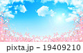桜　春　花　背景  19409210