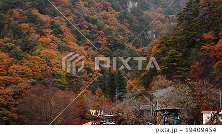 御岳昇仙峡の紅葉 19409454