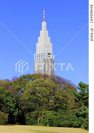 明治神宮と高層ビル 19409648