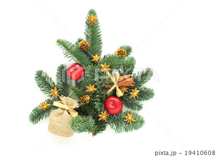 樅の木のクリスマスツリー 19410608