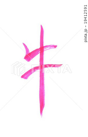 牛　ウシ　うし 19412591