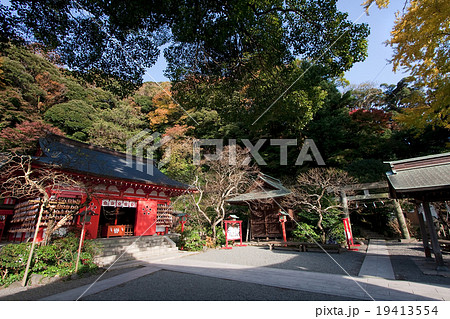 荏柄天神社 境内 【晩秋】 荏柄天神社 境内 【晩秋】 19413554