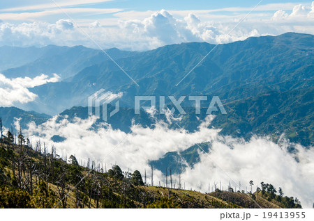 Some Trees on green slope in front of a big blue 19413955