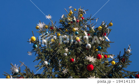Christmas tree on blue sky background 19414135