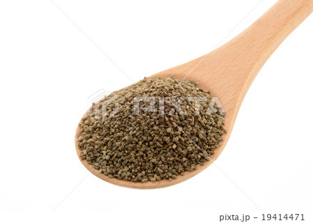 セロリシード セロリシード 19414471
