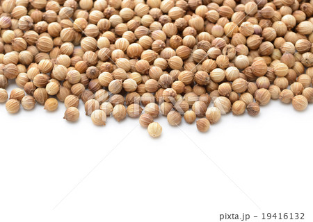 コリアンダーシード コリアンダーシード 19416132