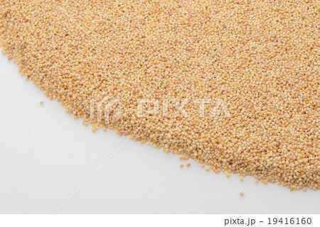 ポピーシード ポピーシード 19416160