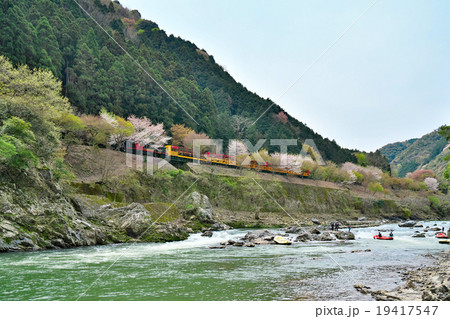 桜とトロッコ列車 19417547