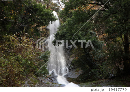 猿尾滝 19417779