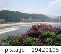 サントスの海岸 19420105