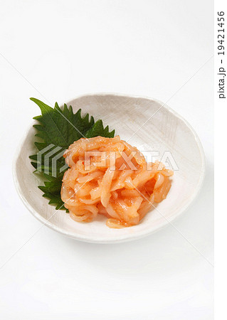 イカ明太 イカ明太 19421456