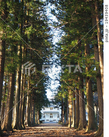 旧青木家那須別邸 19439408