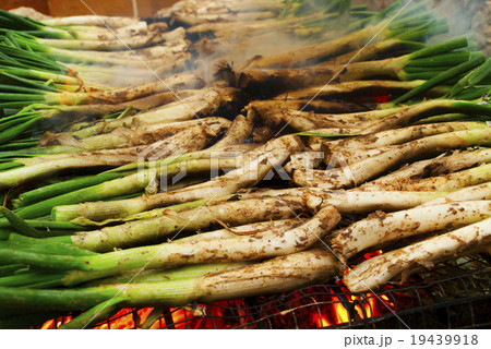 calcots, catalan sweet onions 19439918
