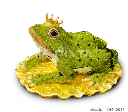 elegant designed diamond in frog elegant designed diamond in frog 19440052