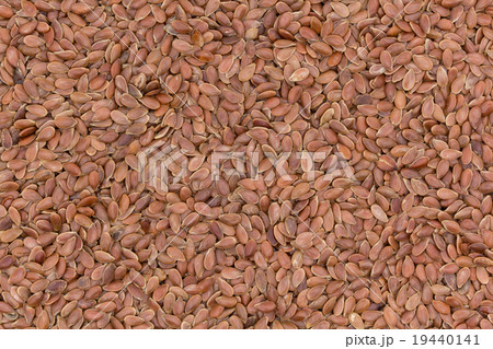 亜麻仁（フラックスシード）: Flaxseed 19440141