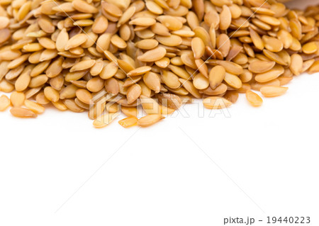 ゴールデンフラックスシード: Golden Flaxseed ゴールデンフラックスシード: Golden Flaxseed 19440223