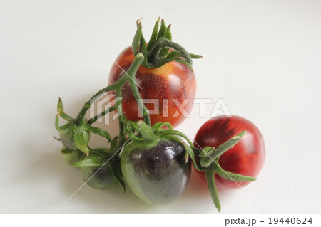 ミニトマト ミニトマト 19440624