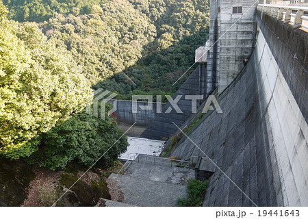 野村ダム 野村ダム 19441643