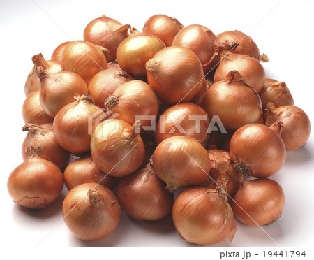 大量の玉ねぎ 大量の玉ねぎ 19441794