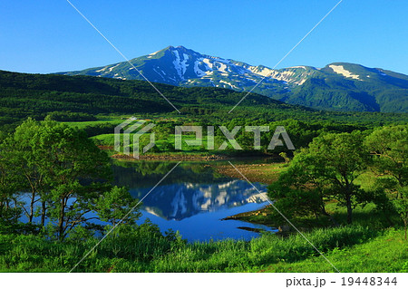 秋田県 鳥海山 夏の扇谷地溜池 秋田県 鳥海山 夏の扇谷地溜池 19448344