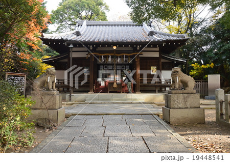 安井神社の本殿（大阪府大阪市天王寺区逢阪1-3-24） 19448541