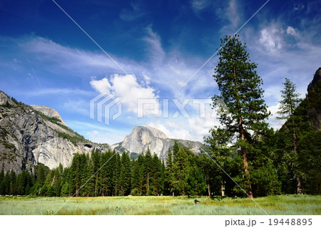 アメリカ　ヨセミテ国立公園 19448895