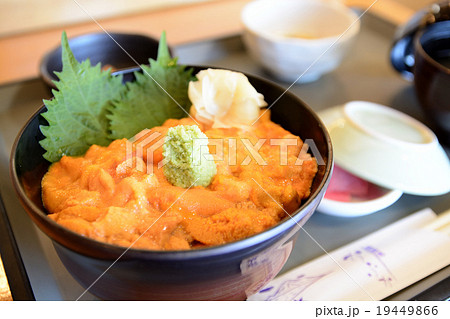 礼文島かふかうに丼 19449866