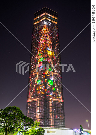 千葉ポートタワー クリスマスイルミネーション 19449954