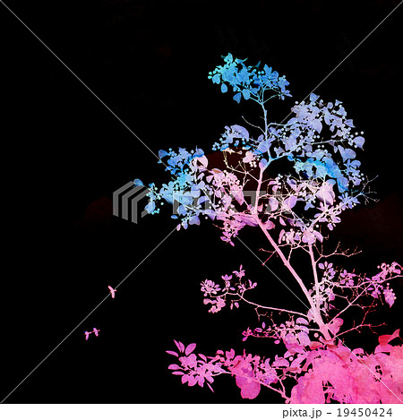 Colourful tree on black background, watercolor  19450424