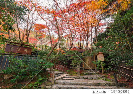 晩秋の祇王寺 晩秋の祇王寺 19450895