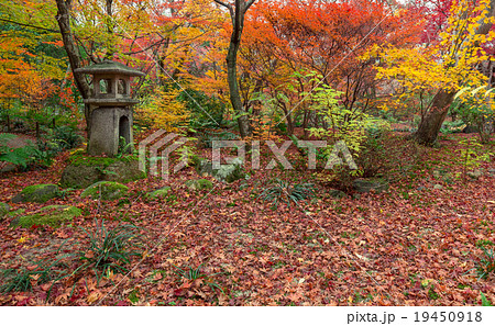 秋の宝筐院 19450918