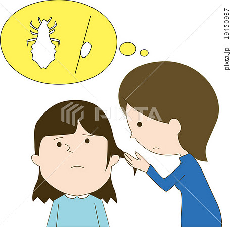 シラミ チェック シラミ チェック 19450937